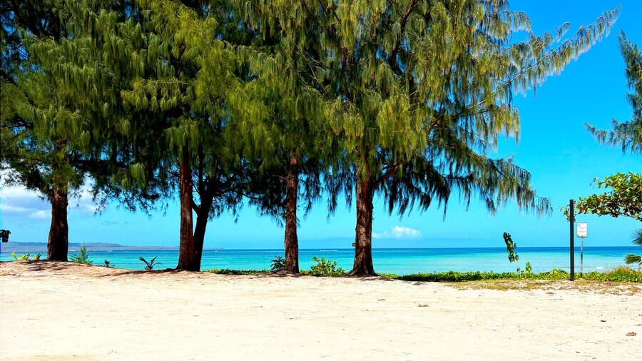 Aquarius Beach Tower