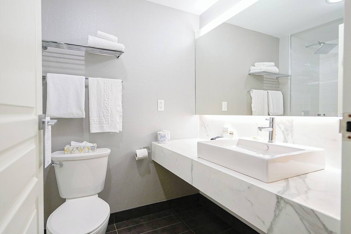 shower, free toiletries, hair dryer, towels