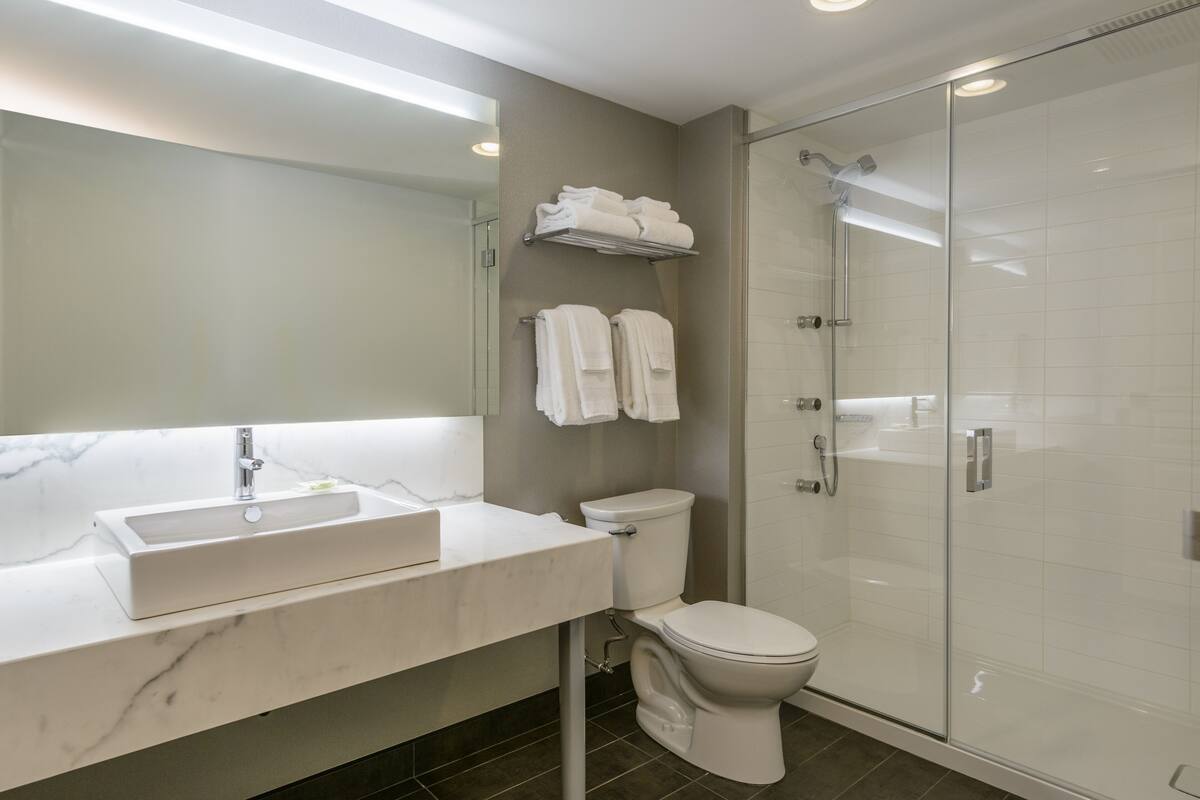 shower, free toiletries, hair dryer, towels