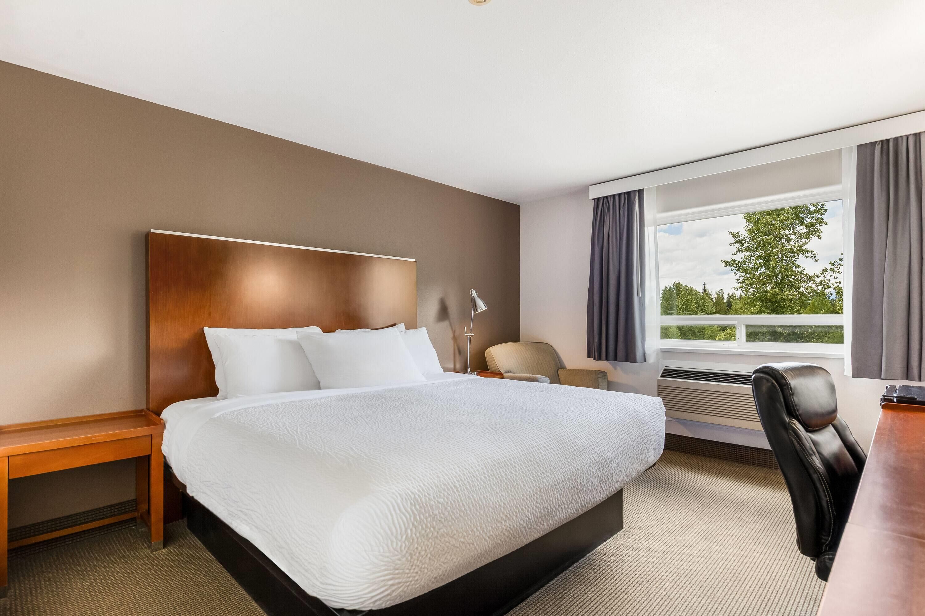 Room, 1 King Bed, Non Smoking | In-room safe, desk, iron/ironing board, free WiFi