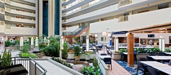 Embassy Suites by Hilton Tampa USF Near Busch Gardens