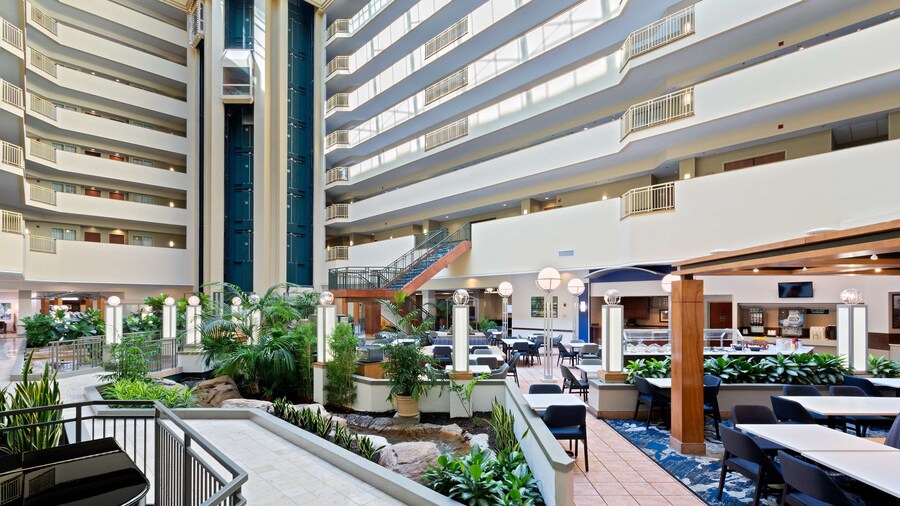 Embassy Suites by Hilton Tampa USF Near Busch Gardens