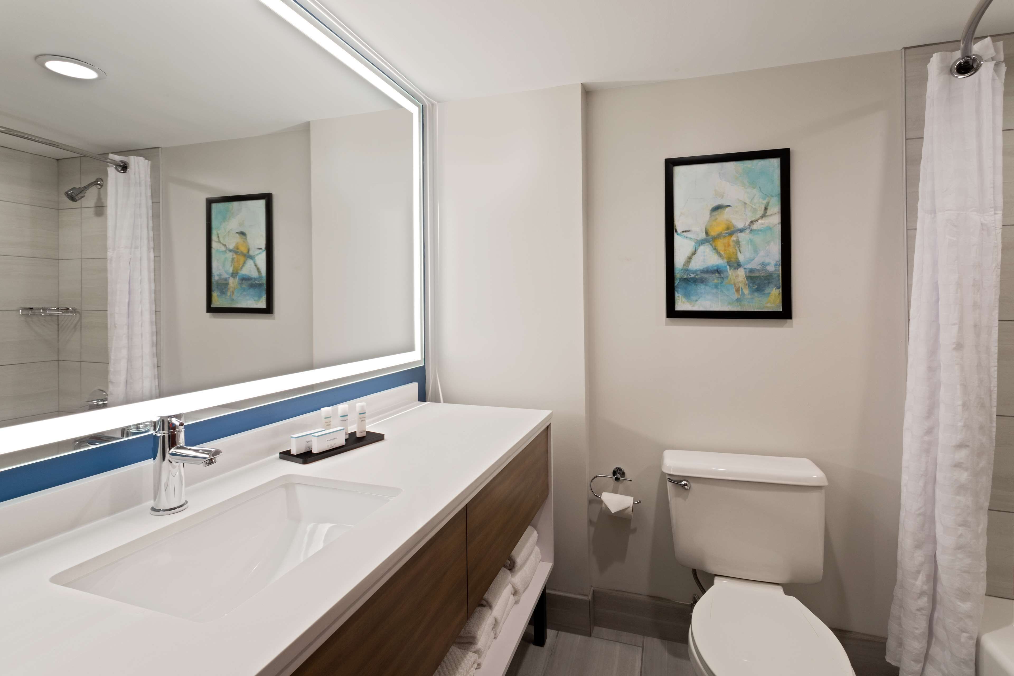 combined shower/bathtub, free toiletries, hair dryer, towels