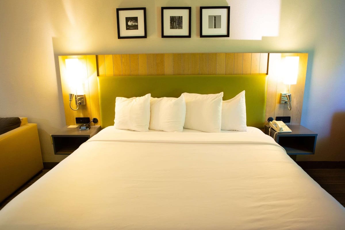 Room, 1 King Bed, Non Smoking | 1 bedroom, desk, laptop workspace, blackout drapes