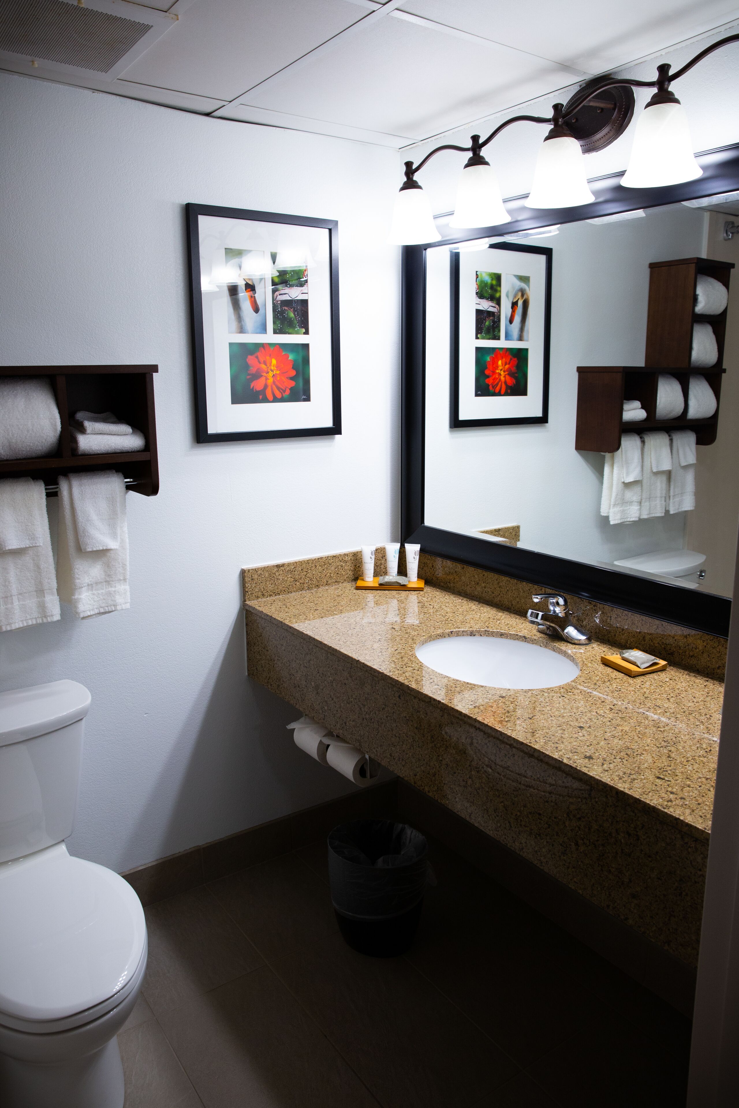 free toiletries, hair dryer, towels