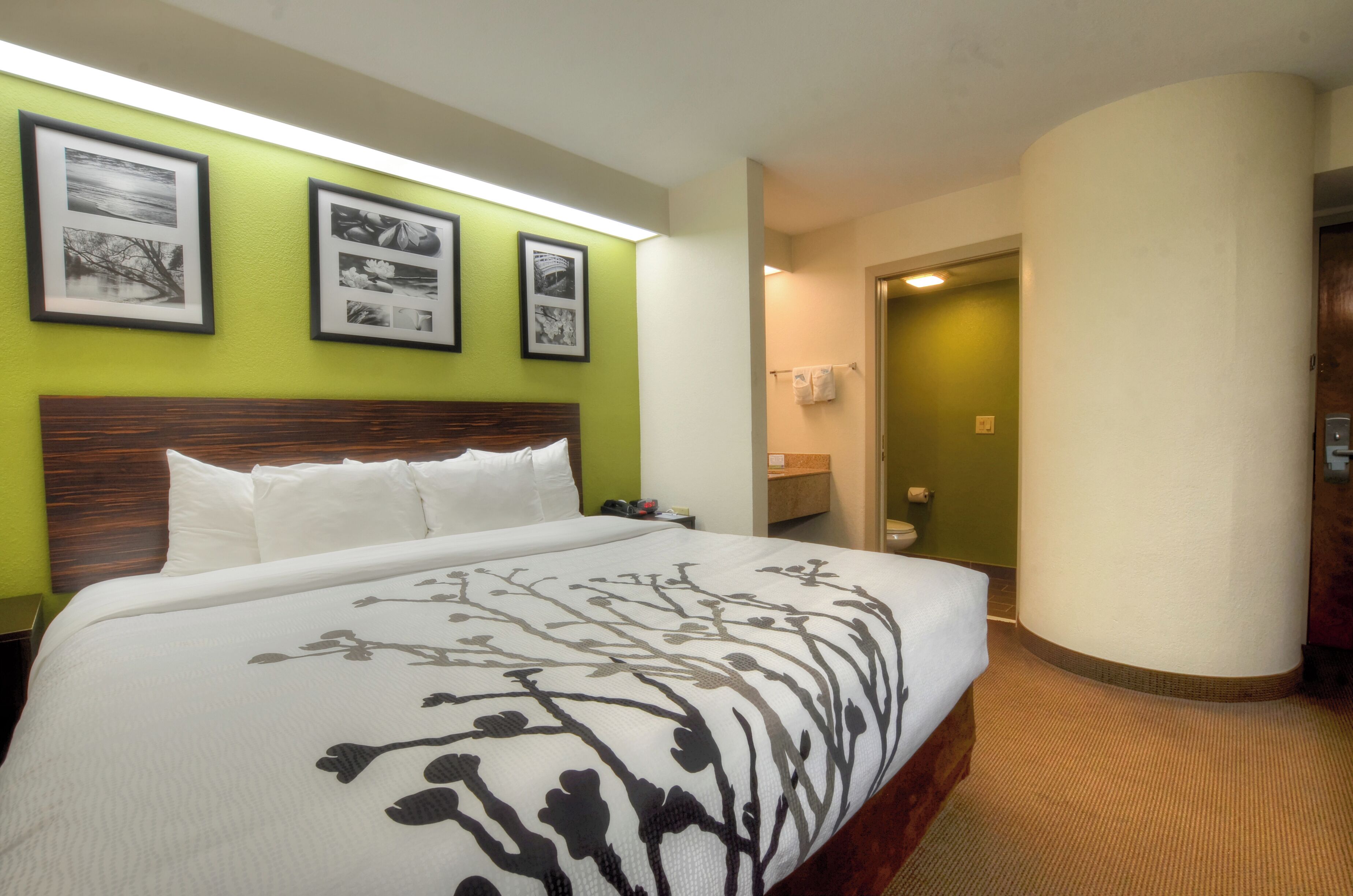 A hotel room with a large bed, a wooden headboard, and a green accent wall. There are framed pictures on the wall and a bathroom visible through an open door.