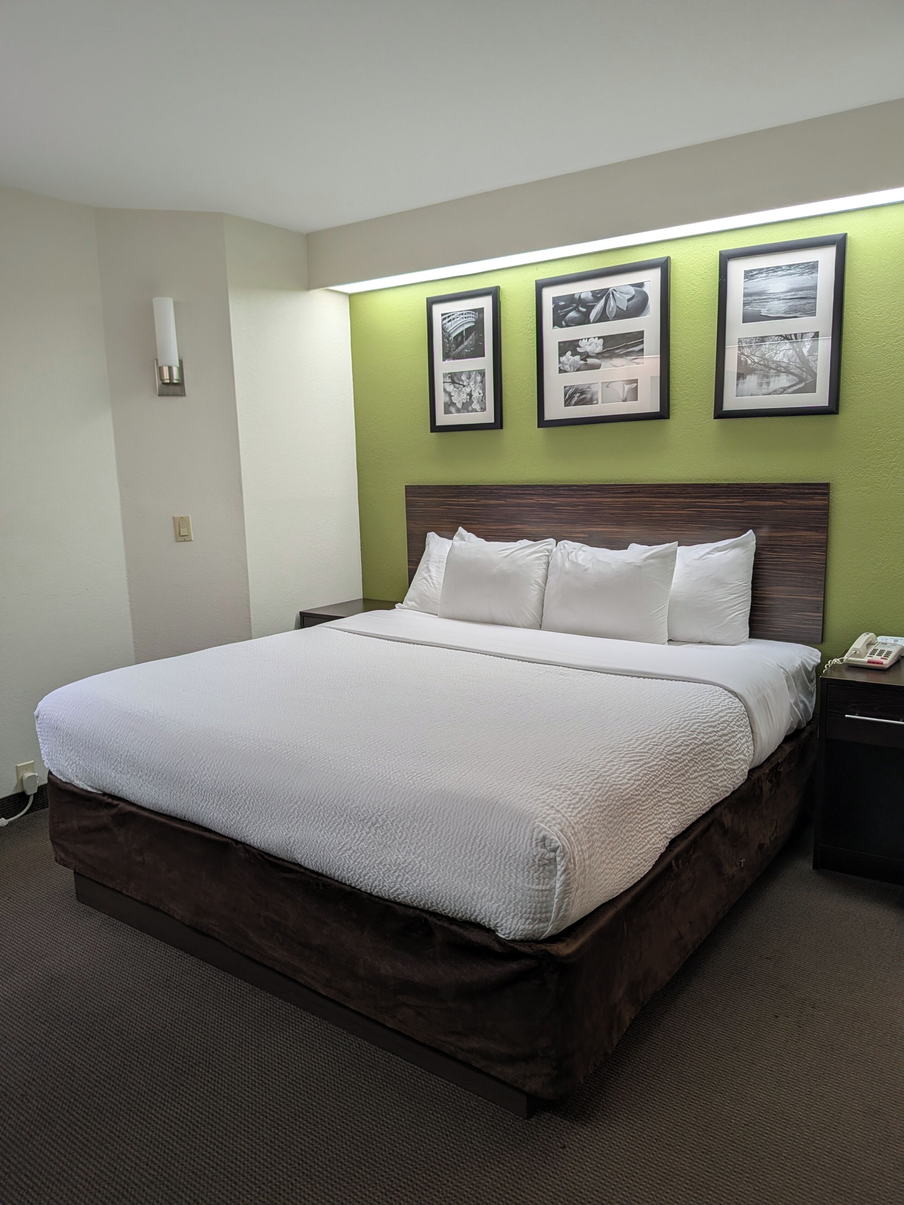 Habitación de hotel con una cama, una mesita de noche, un teléfono y tres cuadros en la pared.