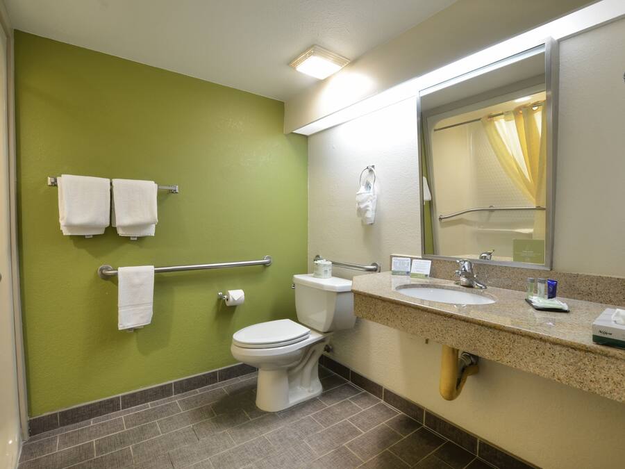 A bathroom with a green wall, white toilet, and sink with a mirror above.