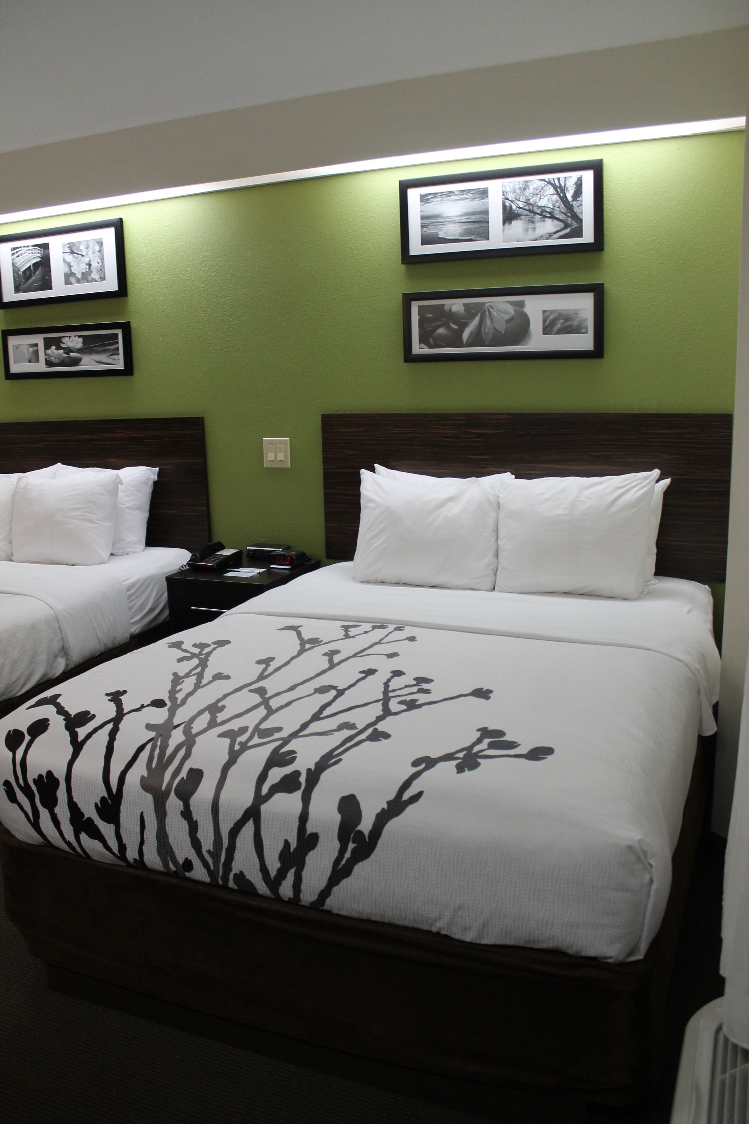 standard room, 2 queen beds, non smoking | desk, blackout curtains, iron/ironing board, free cots/infant beds