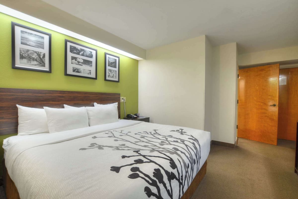 Room, 1 King Bed, Accessible, Ground Floor