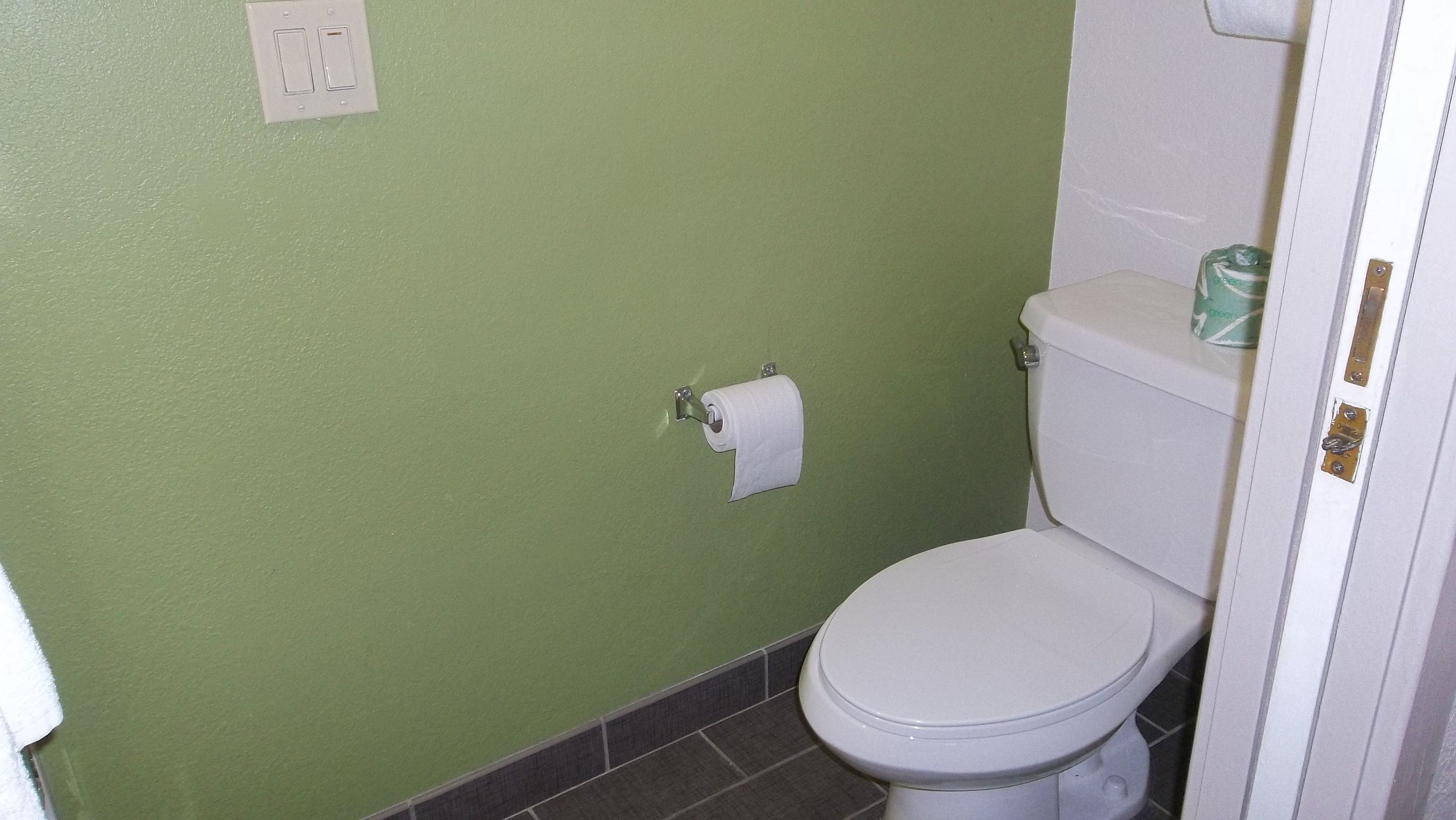 Kylpyhuone, jossa on vihreä seinä, wc-istuin ja seinälle ripustettu wc-paperirulla.