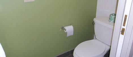 Kylpyhuone, jossa on vihreä seinä, wc-istuin ja seinälle ripustettu wc-paperirulla.