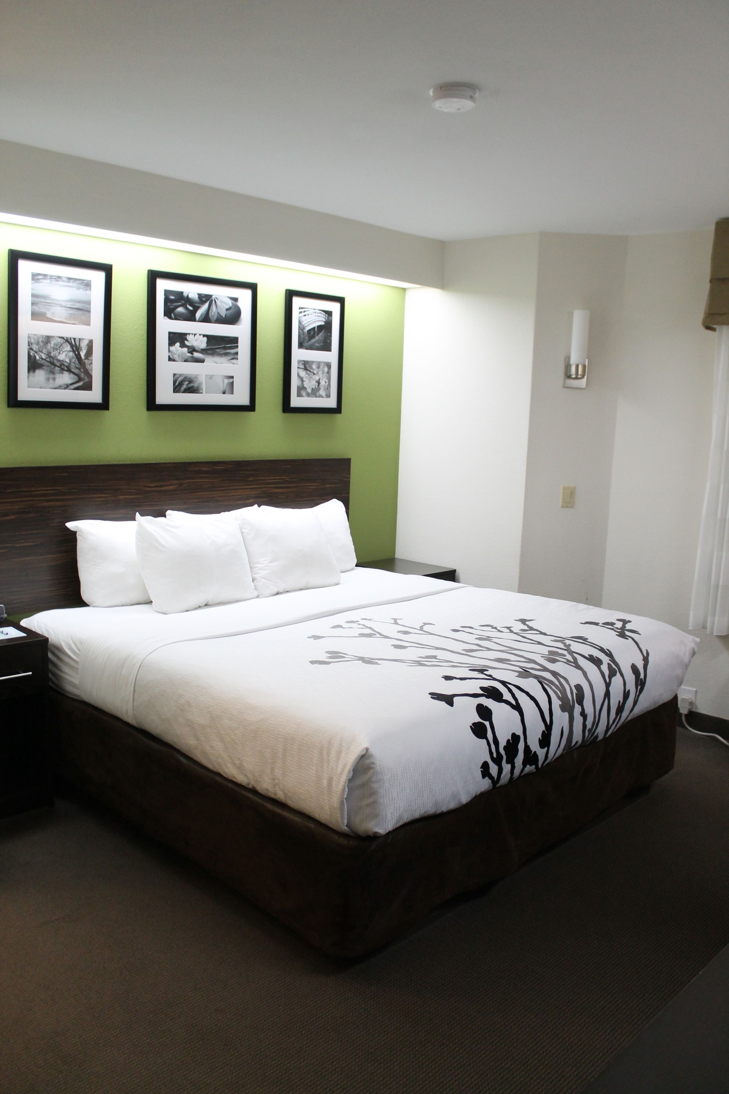 Standard Room, 1 King Bed, Non Smoking | Desk, blackout drapes, iron/ironing board, free cribs/infant beds