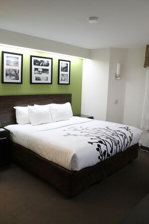 Standard Room, 1 King Bed, Non Smoking