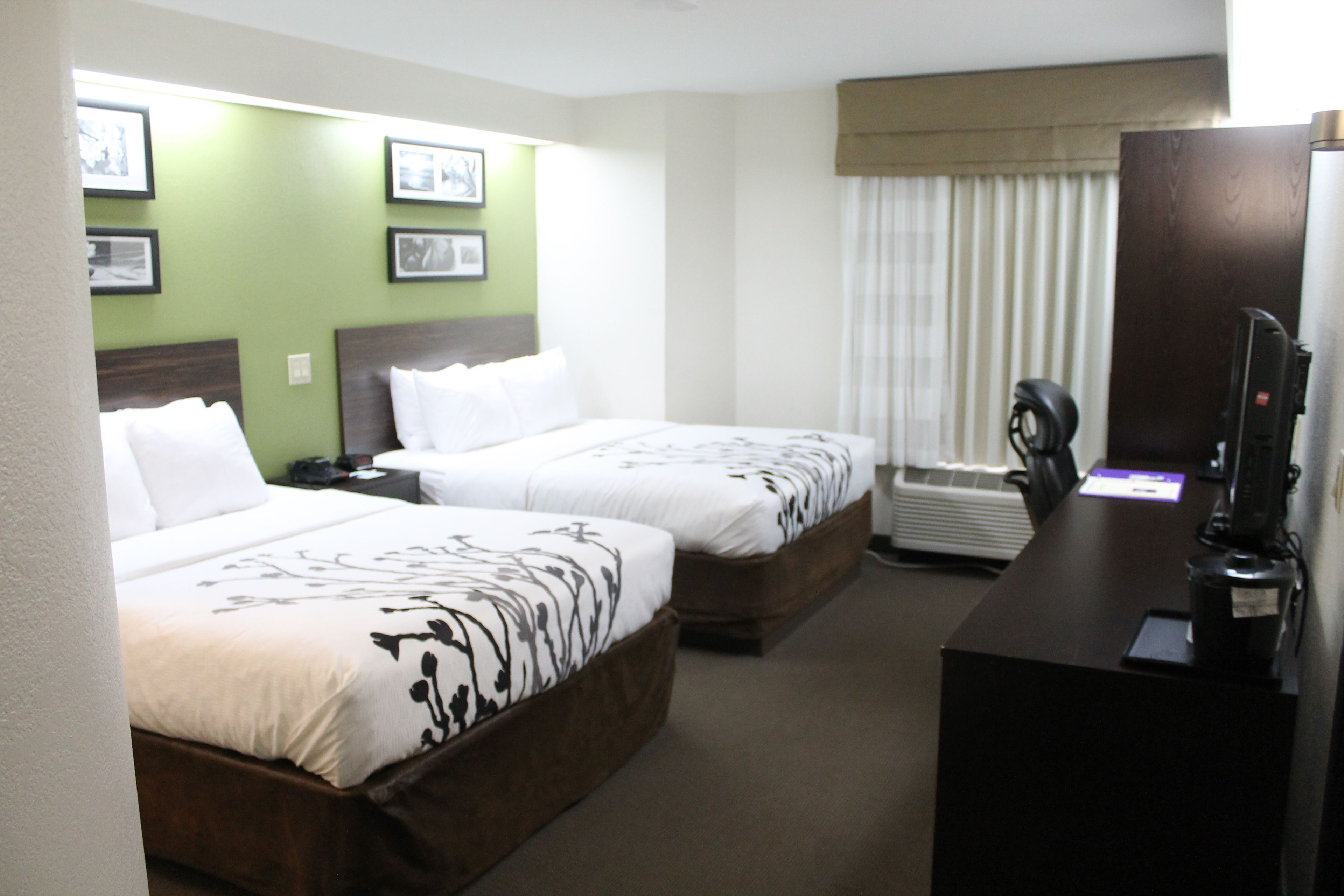 standard room, 2 queen beds, non smoking | desk, blackout curtains, iron/ironing board, free cots/infant beds