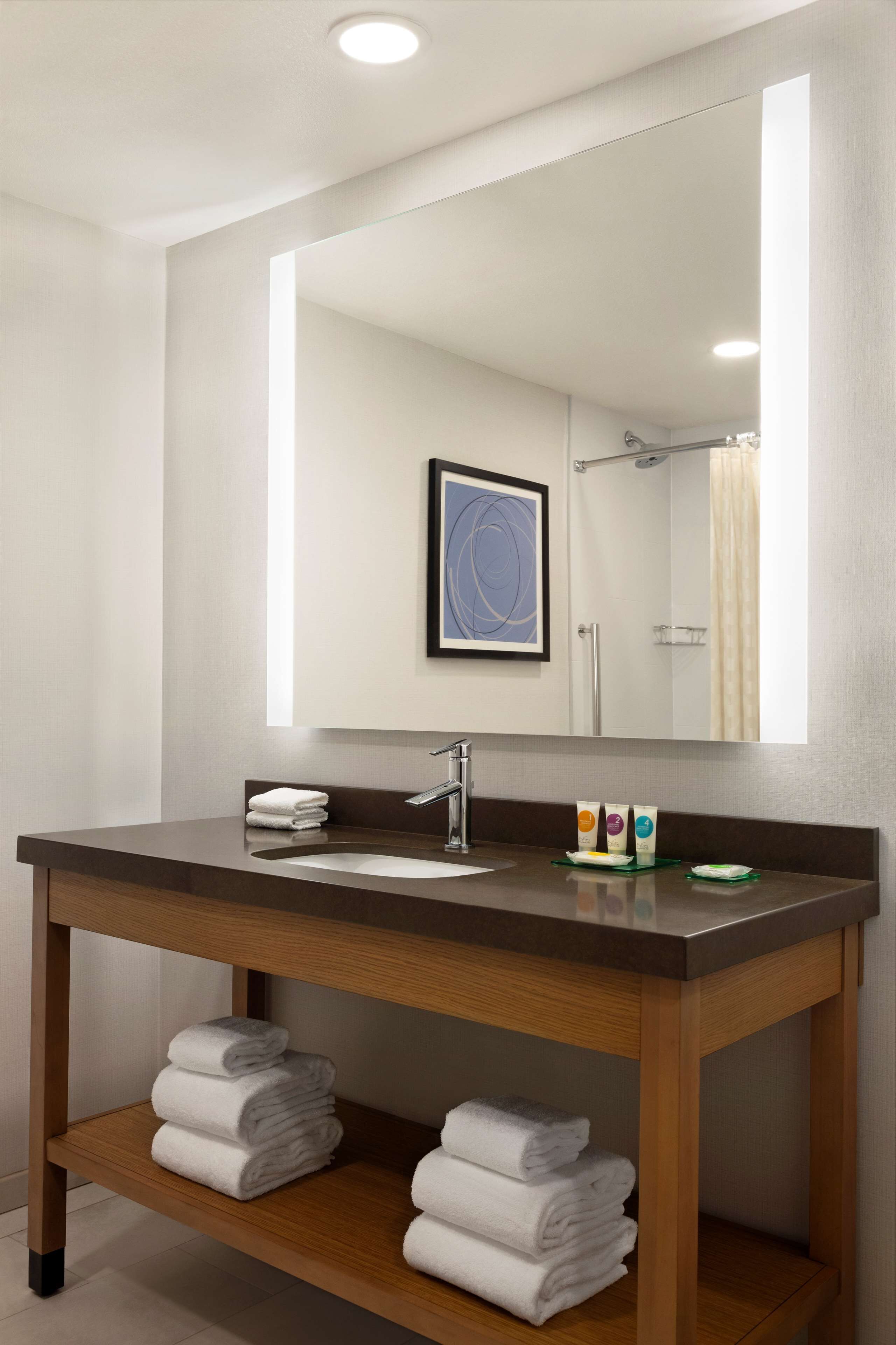 combined shower/bathtub, free toiletries, hair dryer, towels