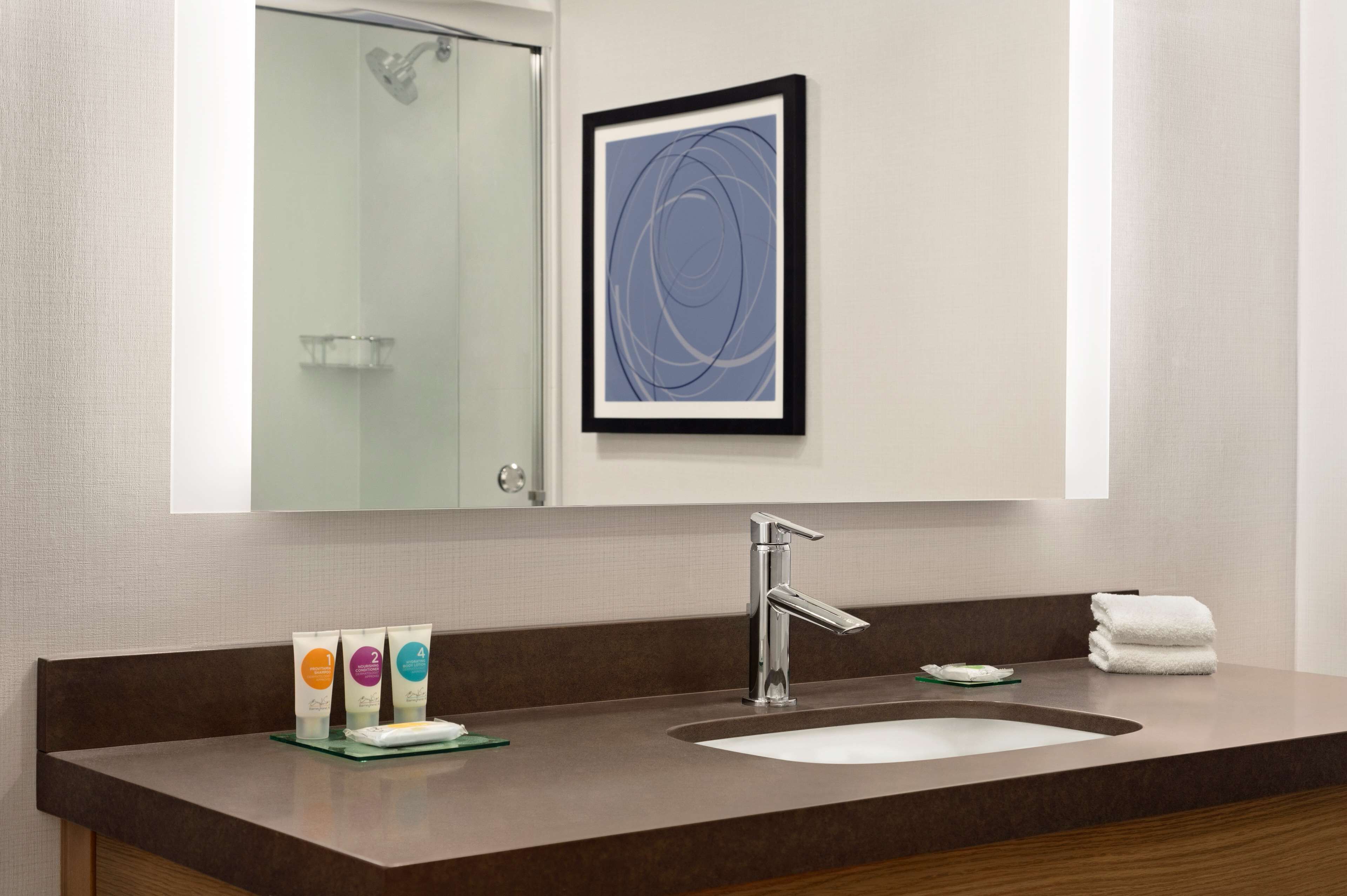 combined shower/bathtub, free toiletries, hair dryer, towels