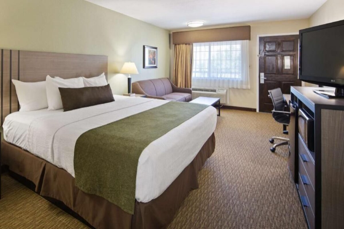 Une chambre d’hôtel avec un lit, un bureau, une télévision et une fenêtre.
