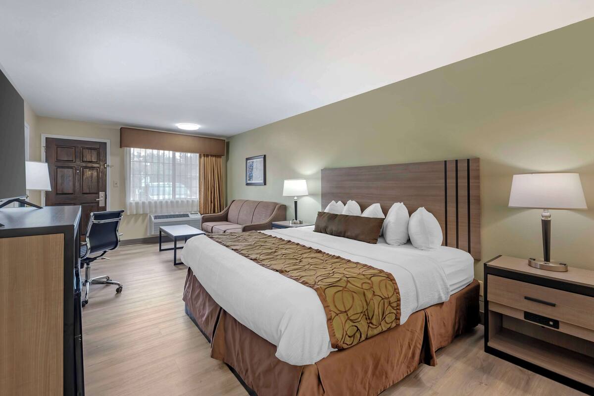 A hotel room with a large bed, a desk, a chair, a sofa, and a nightstand with a lamp.