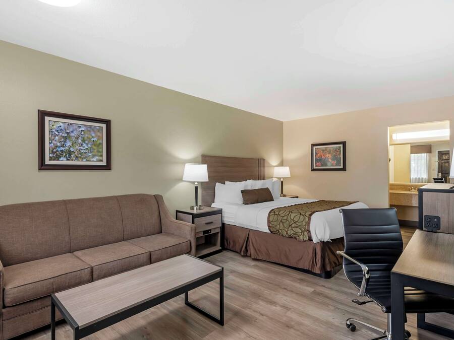 A hotel room with a sofa, a bed with a headboard, a desk with a chair, and two bedside lamps.