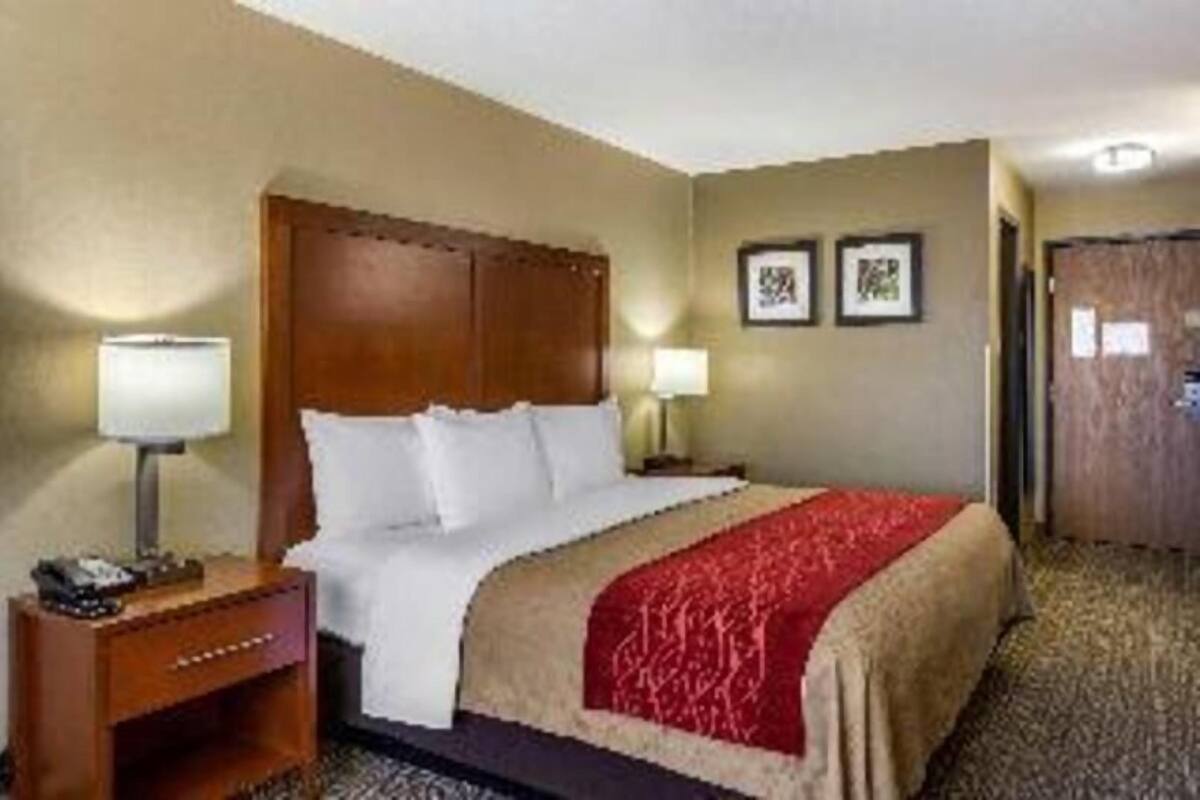 A hotel room with a bed, a nightstand, a lamp, and a door.