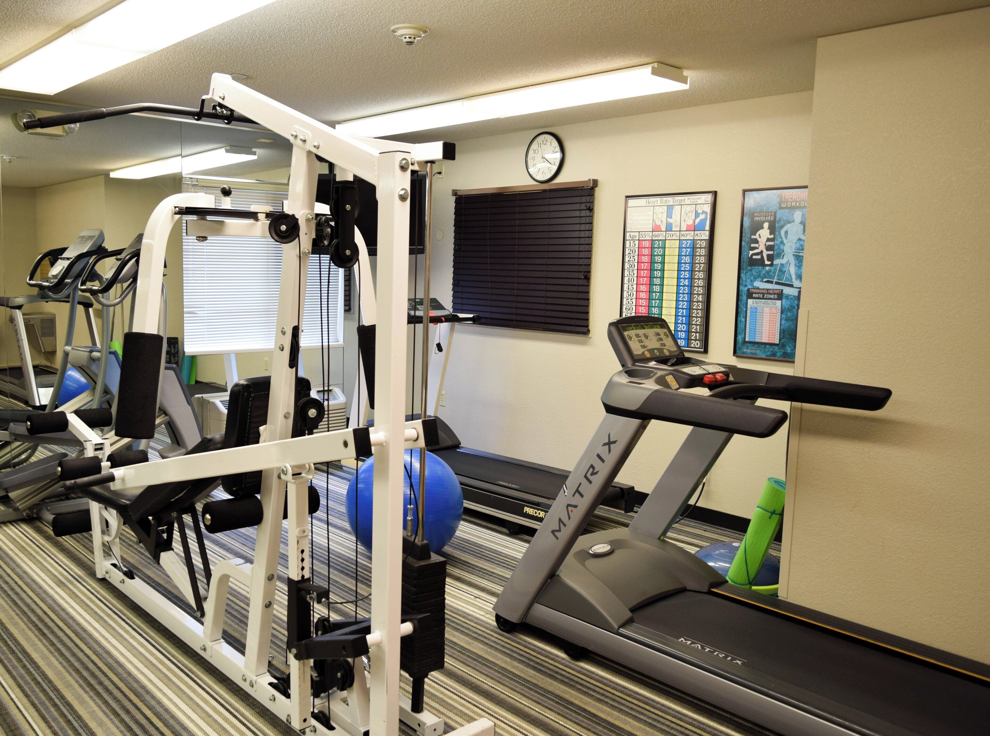 Une salle de sport équipée de tapis de course, d’une machine de musculation et de ballons d’exercice.
