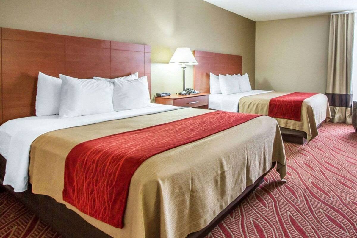 A hotel room with two beds, a nightstand, a lamp, and a window with curtains.