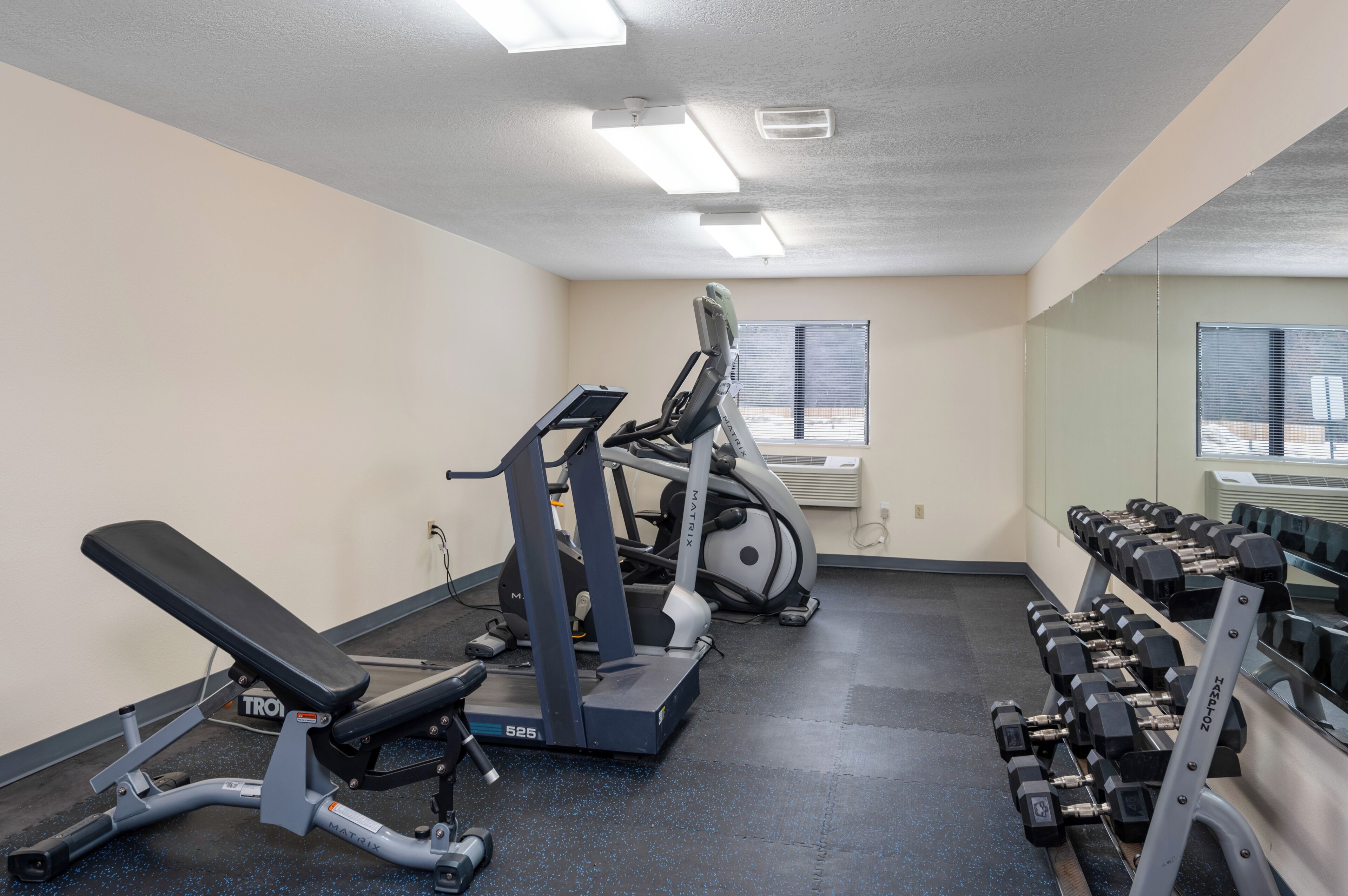 Une salle de sport équipée d’un banc, d’un appareil elliptique et d’haltères.