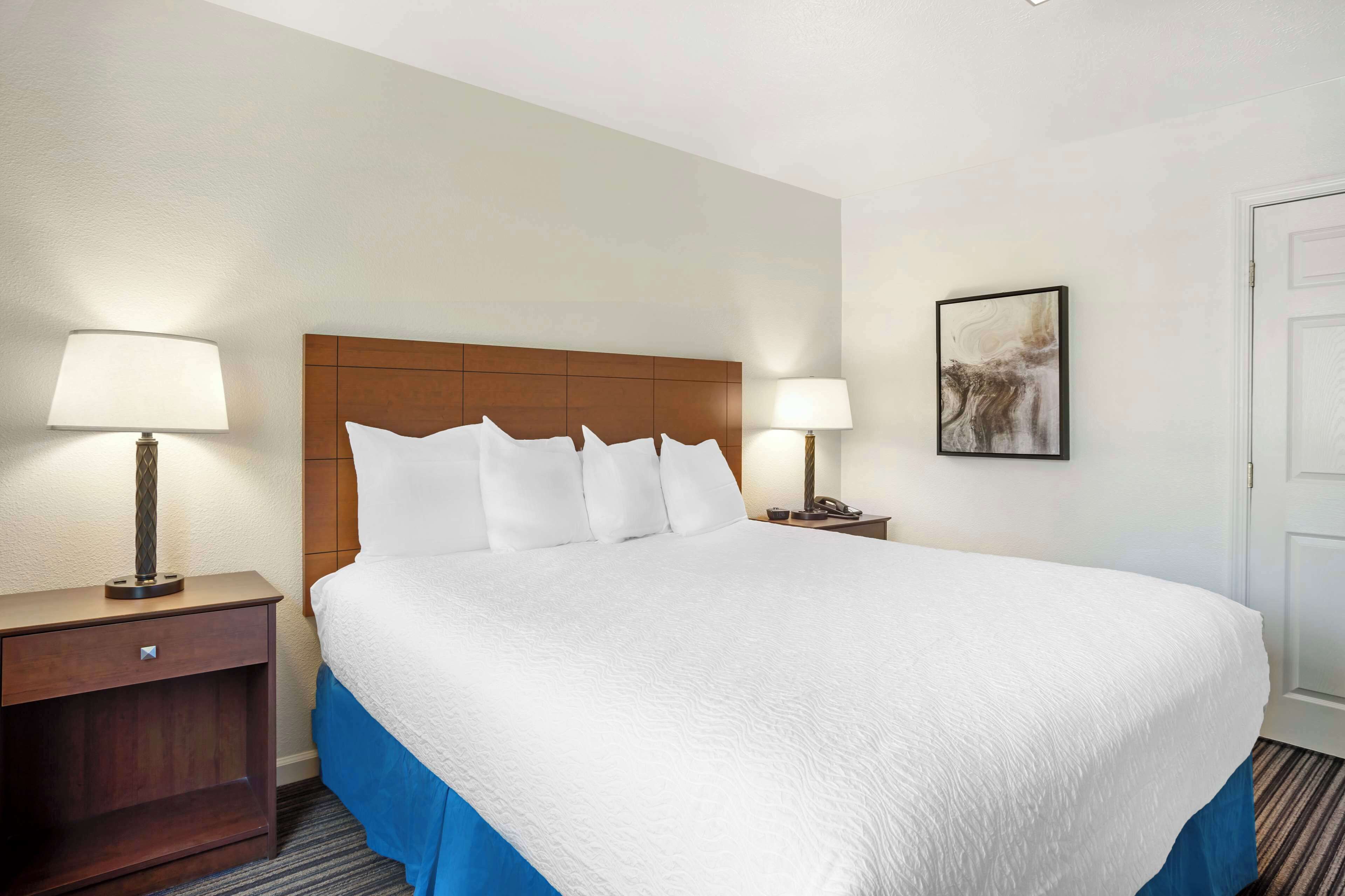 suite, 1 king bed, non smoking, refrigerator & microwave | desk, iron/ironing board, internet, bed sheets