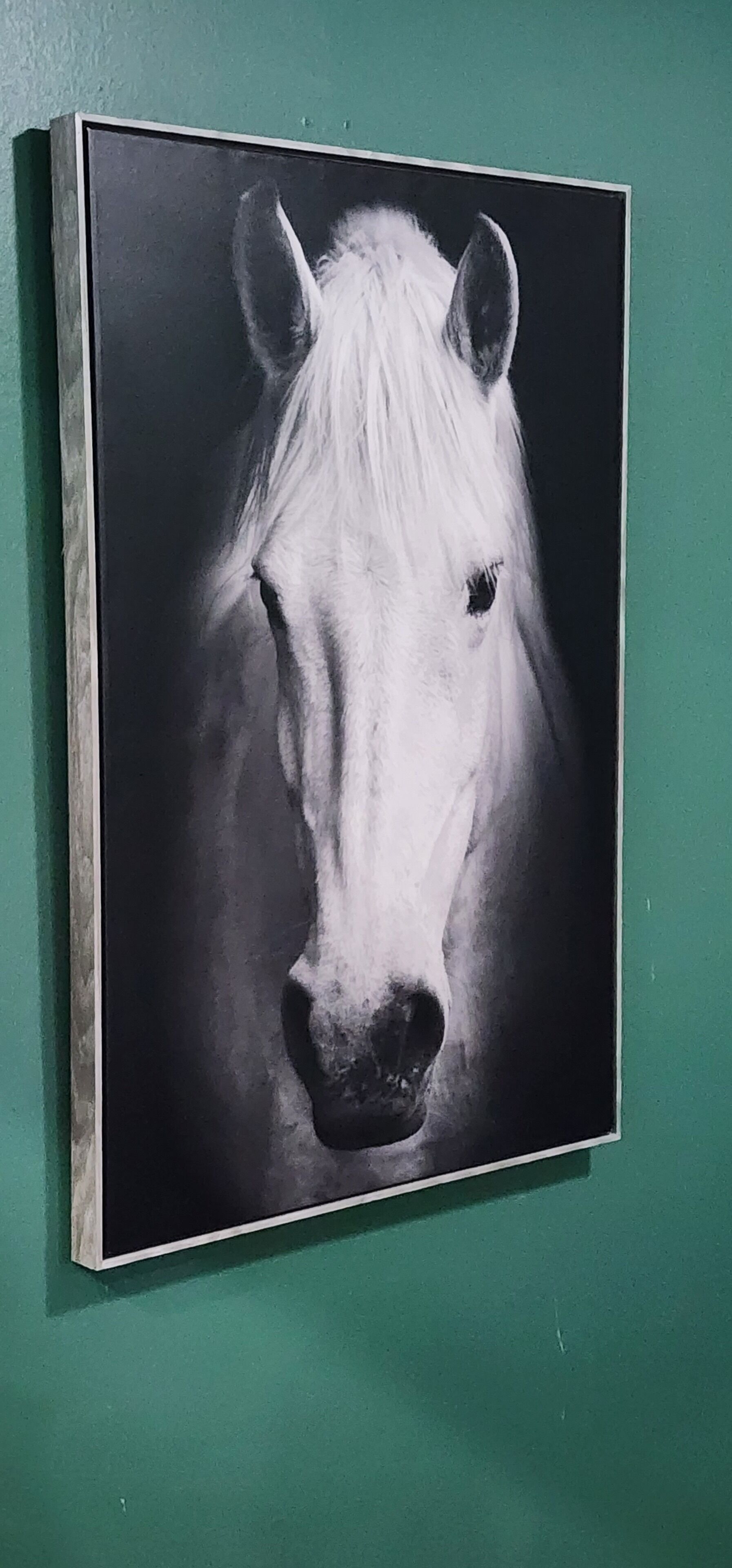 Une photographie en noir et blanc, encadrée, représentant la tête d’un cheval, accrochée à un mur vert.
