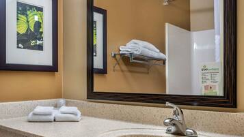 Ensemble baignoire-douche, articles de toilette (gratuits)