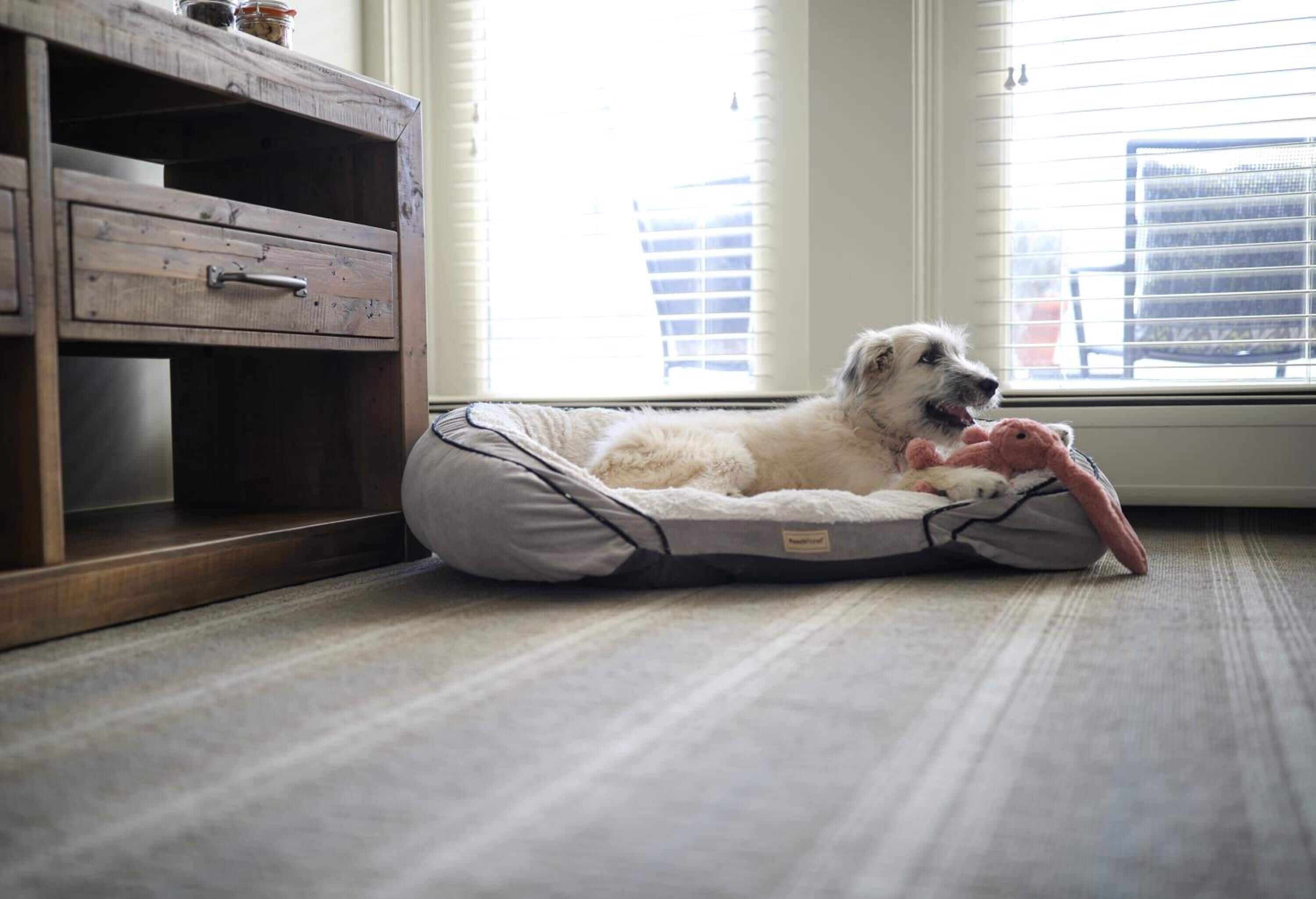 premium bedding, down duvets, pillow-top beds, in-room safe