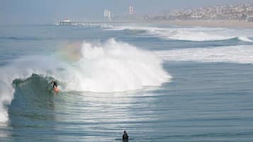 Een surfer die een grote golf betrapt, met een pier en gebouwen op de achtergrond.