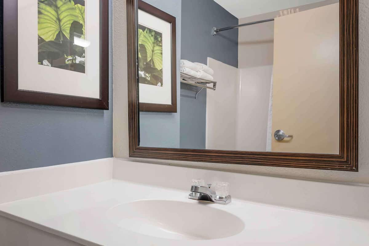 combined shower/bathtub, free toiletries, hair dryer, towels