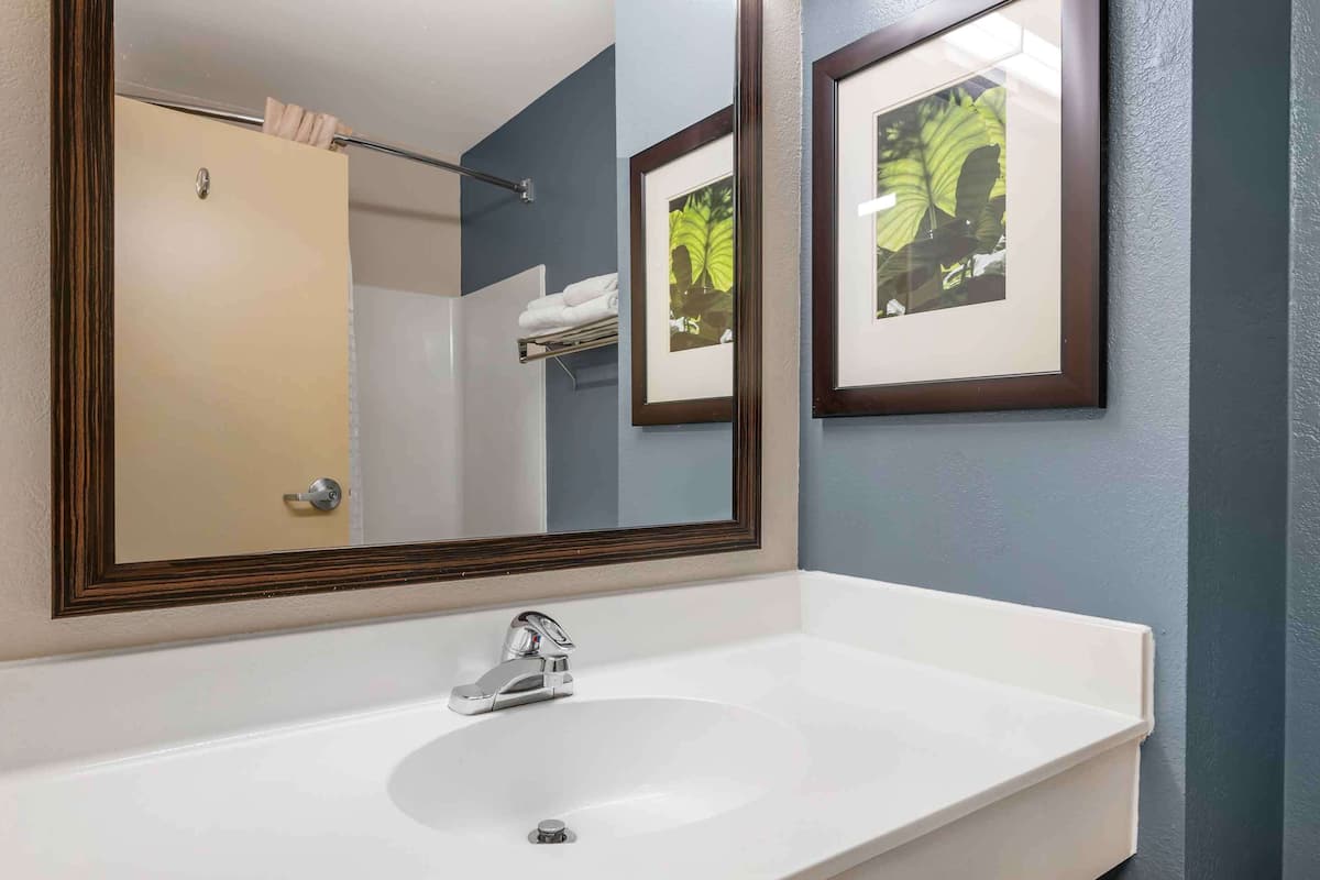 studio, 1 king bed, non smoking | bathroom | combined shower/bathtub, free toiletries, hair dryer, towels