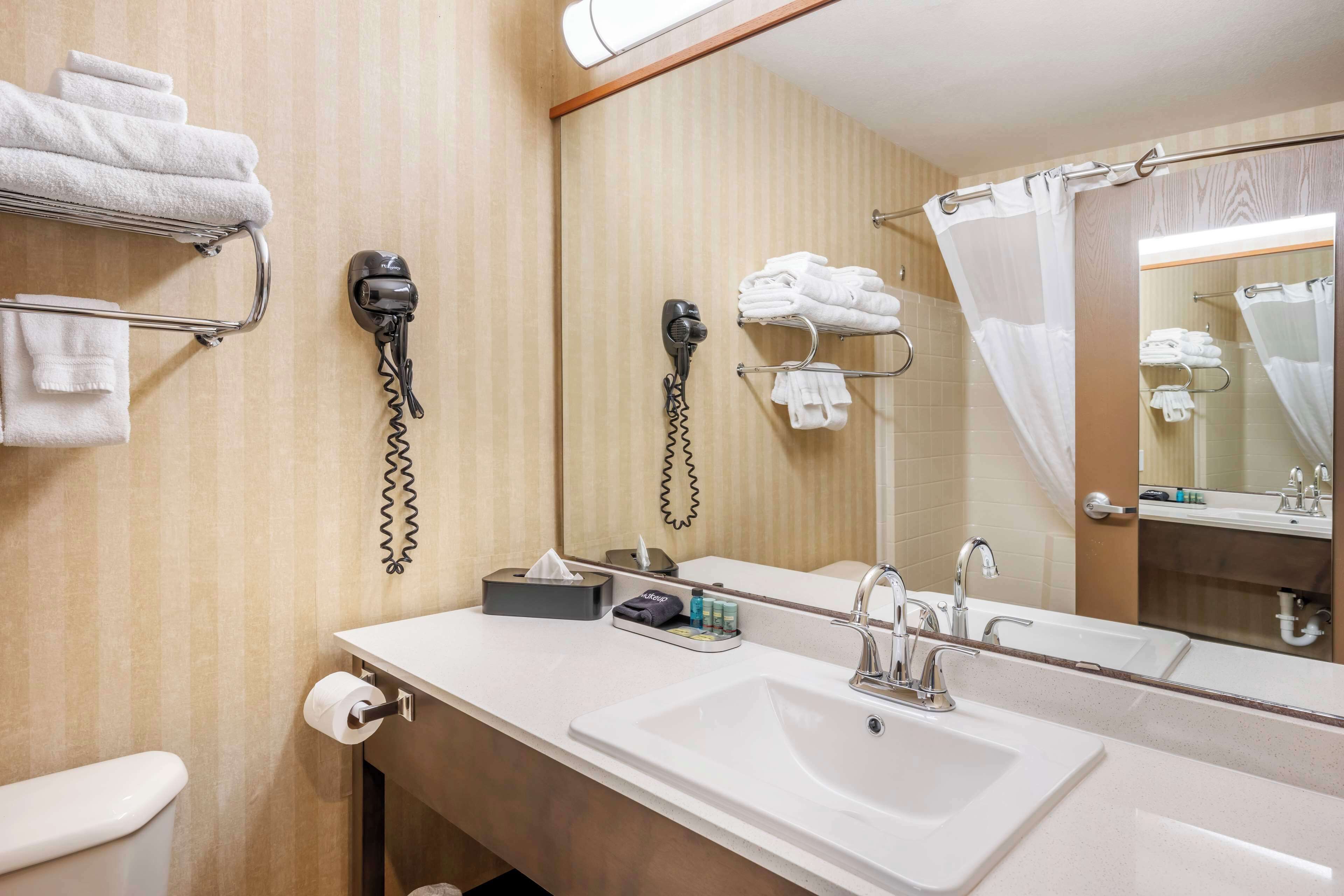 standard room, 1 king bed, non smoking, jetted tub | bathroom | combined shower/bathtub, free toiletries, hair dryer, towels