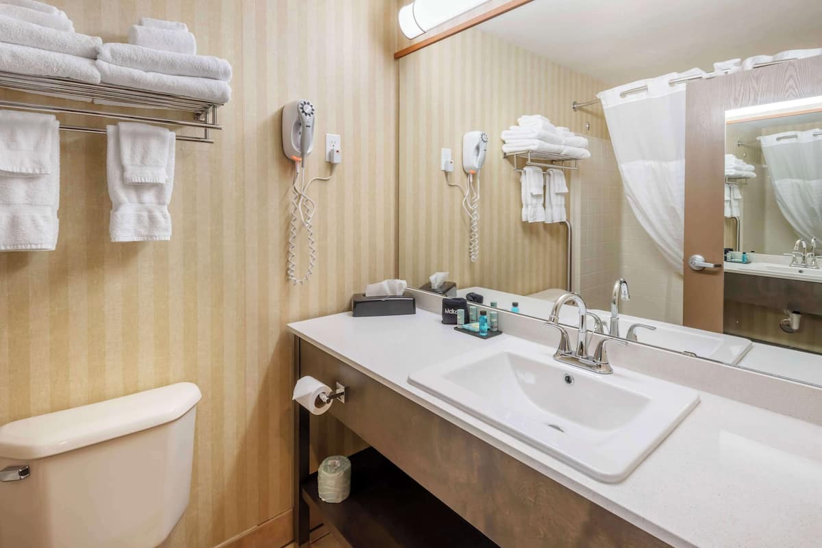 combined shower/bathtub, free toiletries, hair dryer, towels