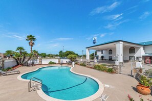 Outdoor pool, sun loungers
