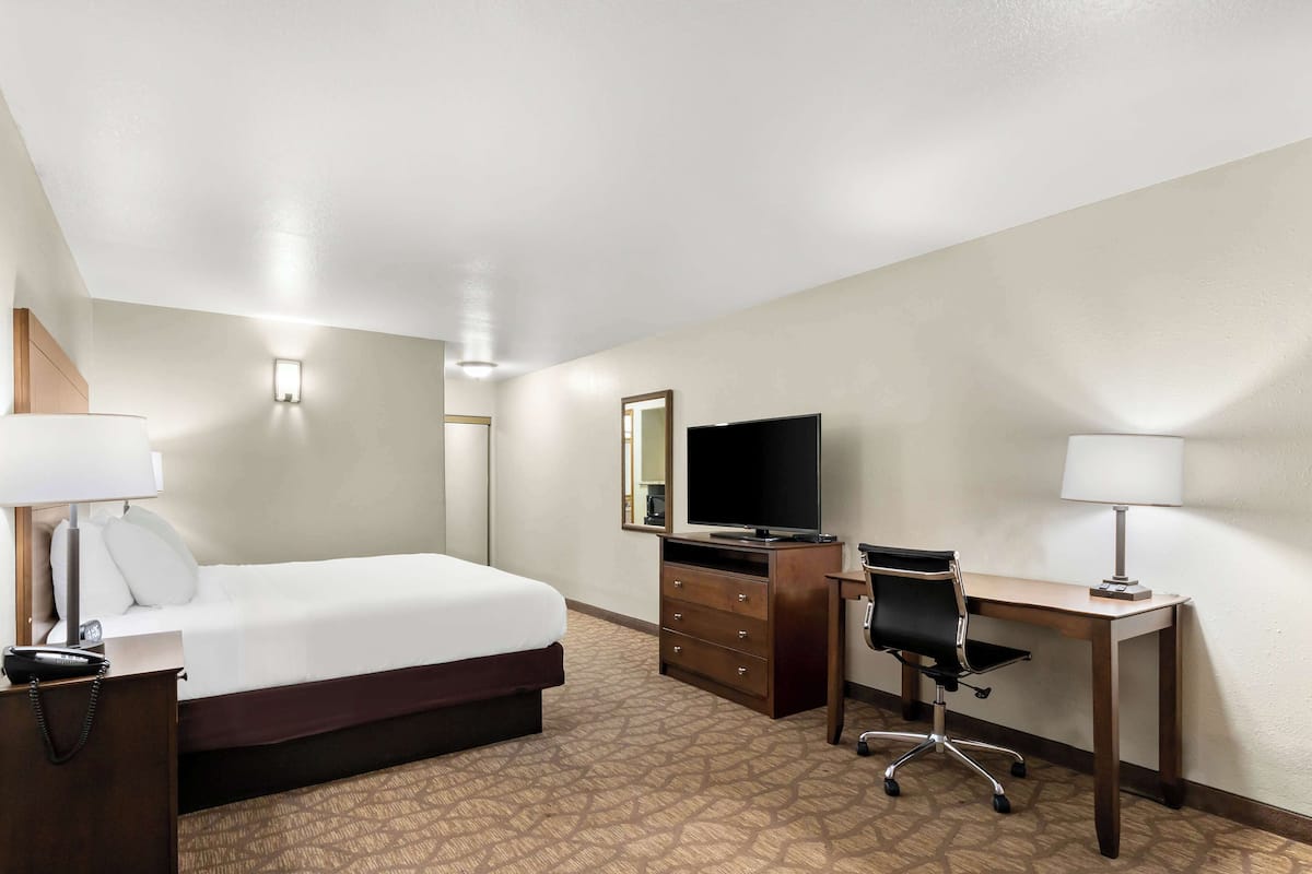 A hotel room with a bed, desk, chair, TV, and a lamp.