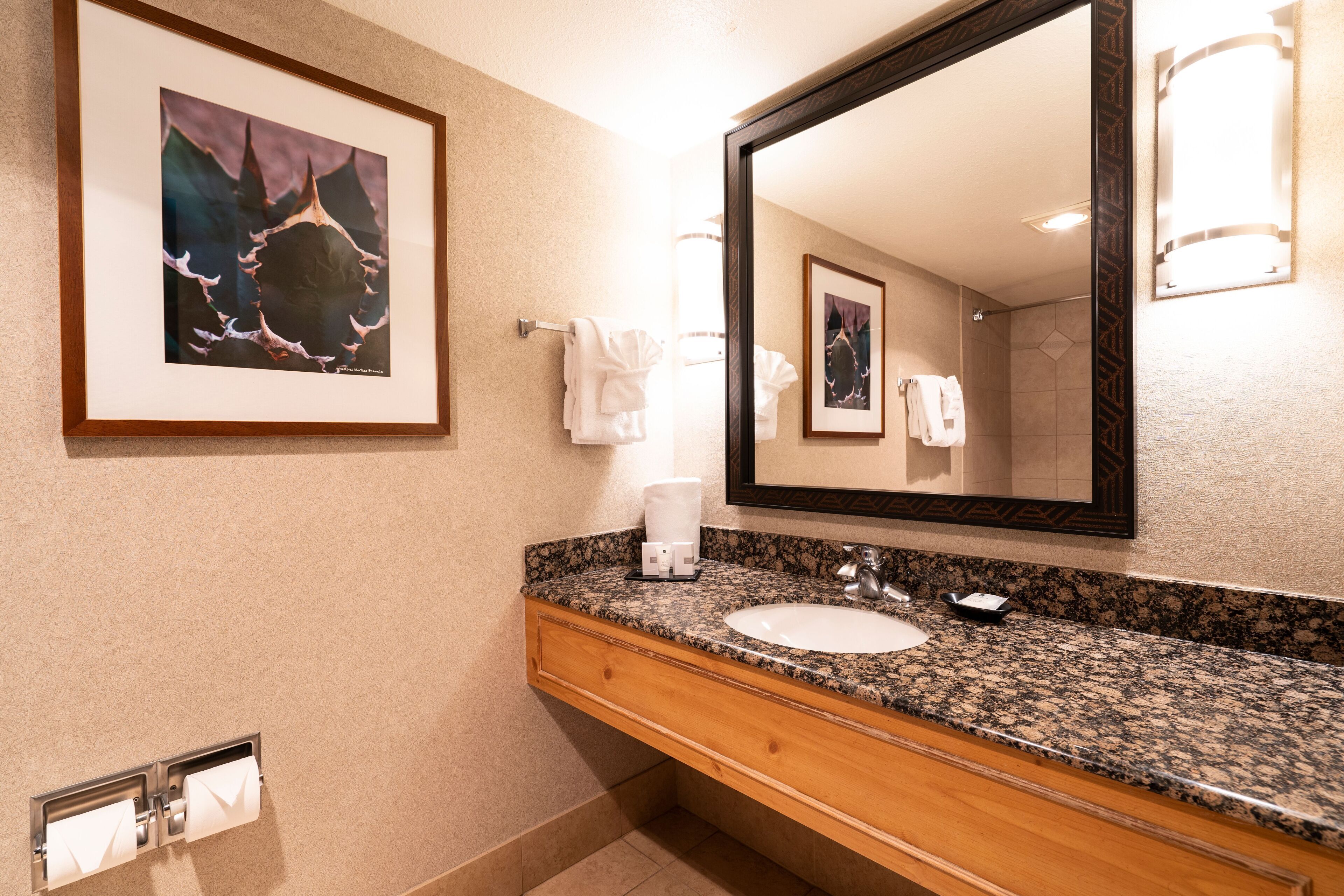 free toiletries, hair dryer, towels