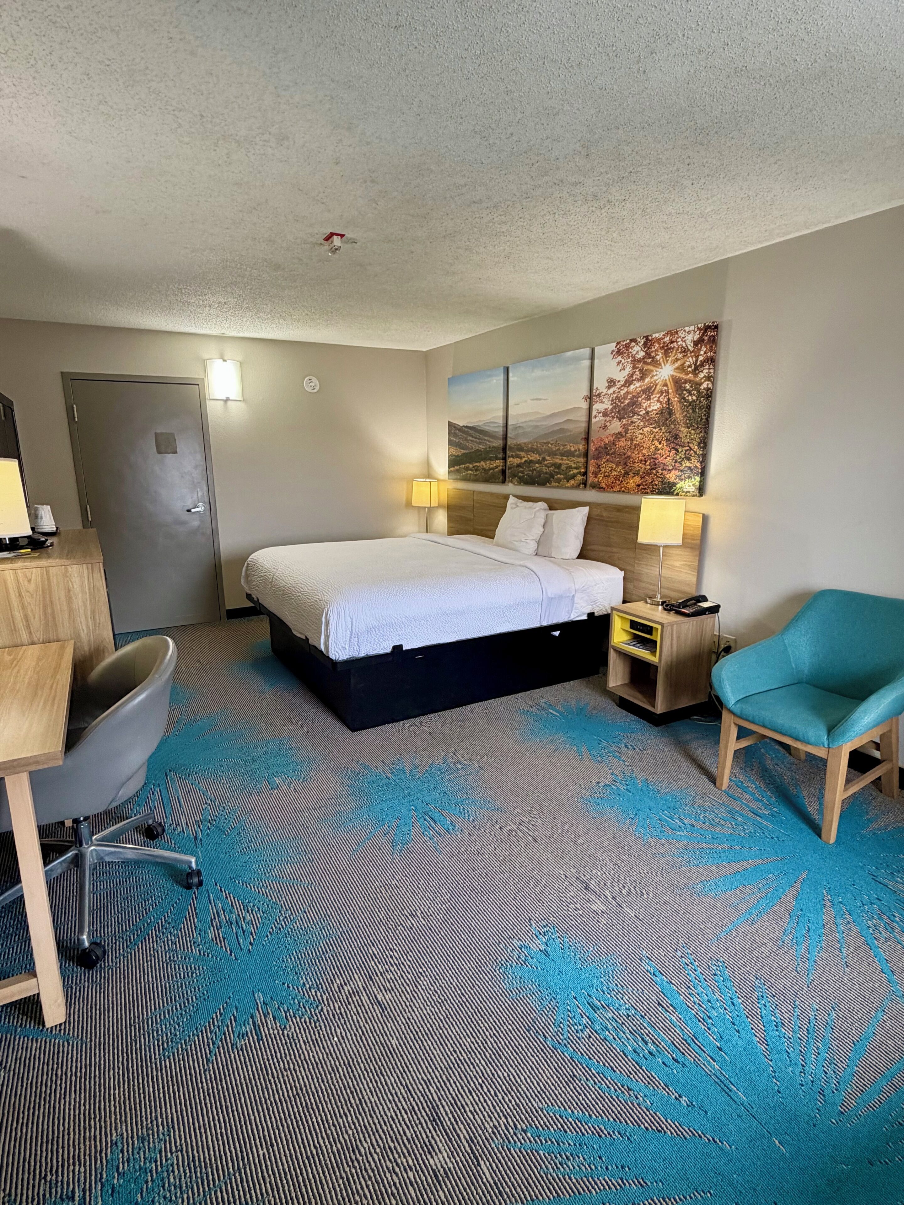 Room, 1 King Bed, Accessible | Desk, iron/ironing board (on request), rollaway beds (surcharge)