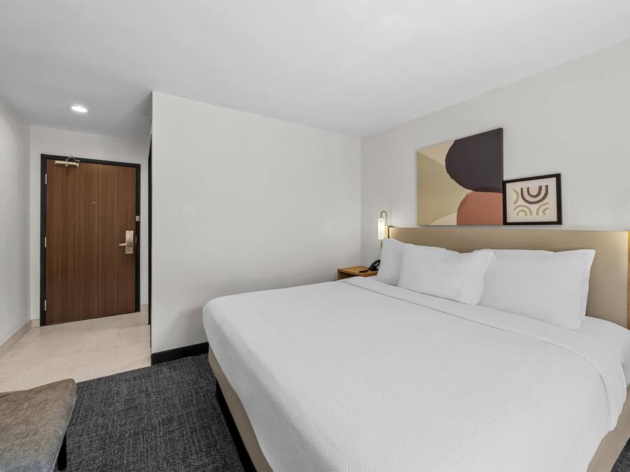 A hotel room with a bed, a nightstand, a wall-mounted lamp, a door, and a small plant.