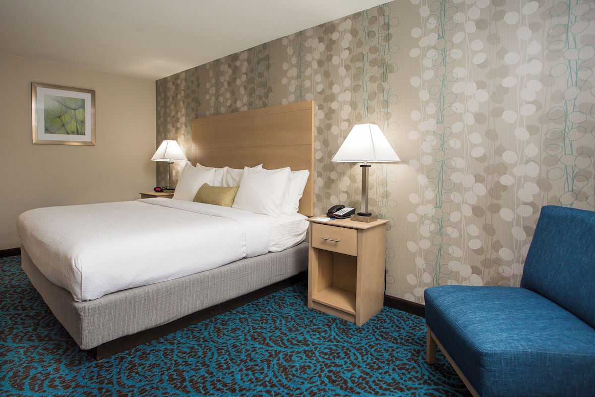 Room, 1 King Bed