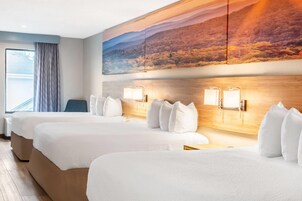 Room, Multiple Beds, Non Smoking | Desk, iron/ironing board, free WiFi, bed sheets