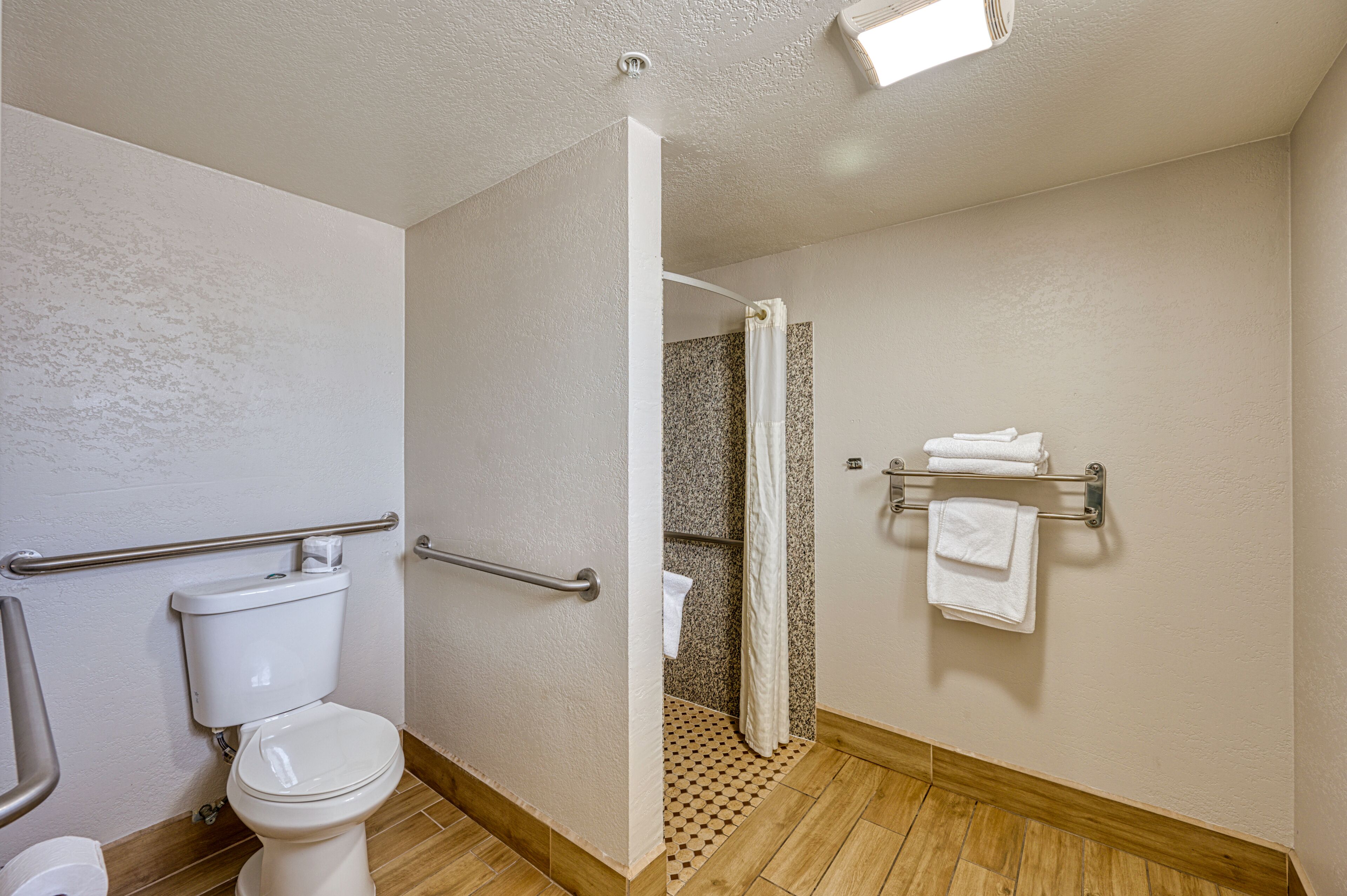 A bathroom with a toilet, shower, and handrails.