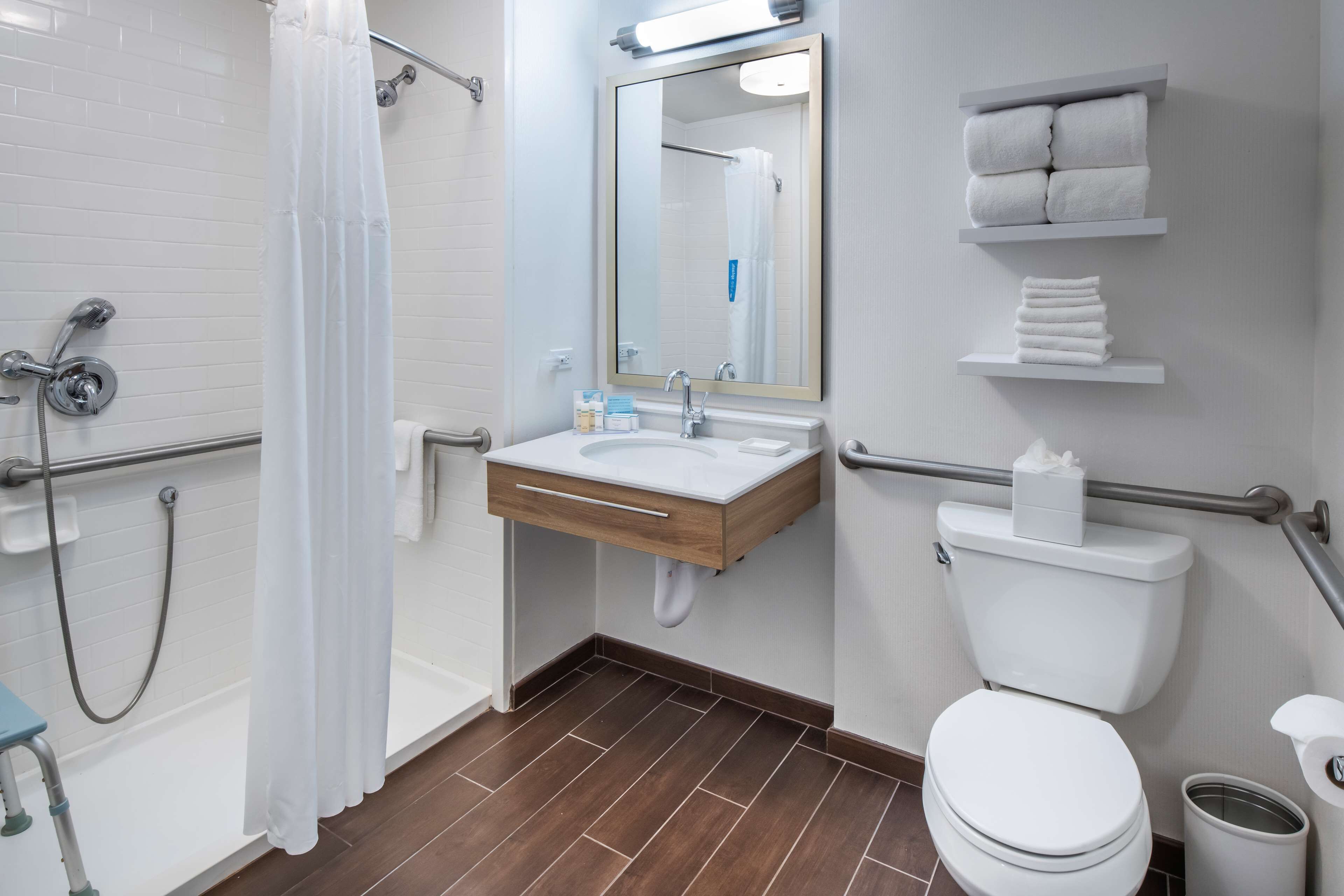 room, 1 king bed, accessible (hearing) | bathroom shower