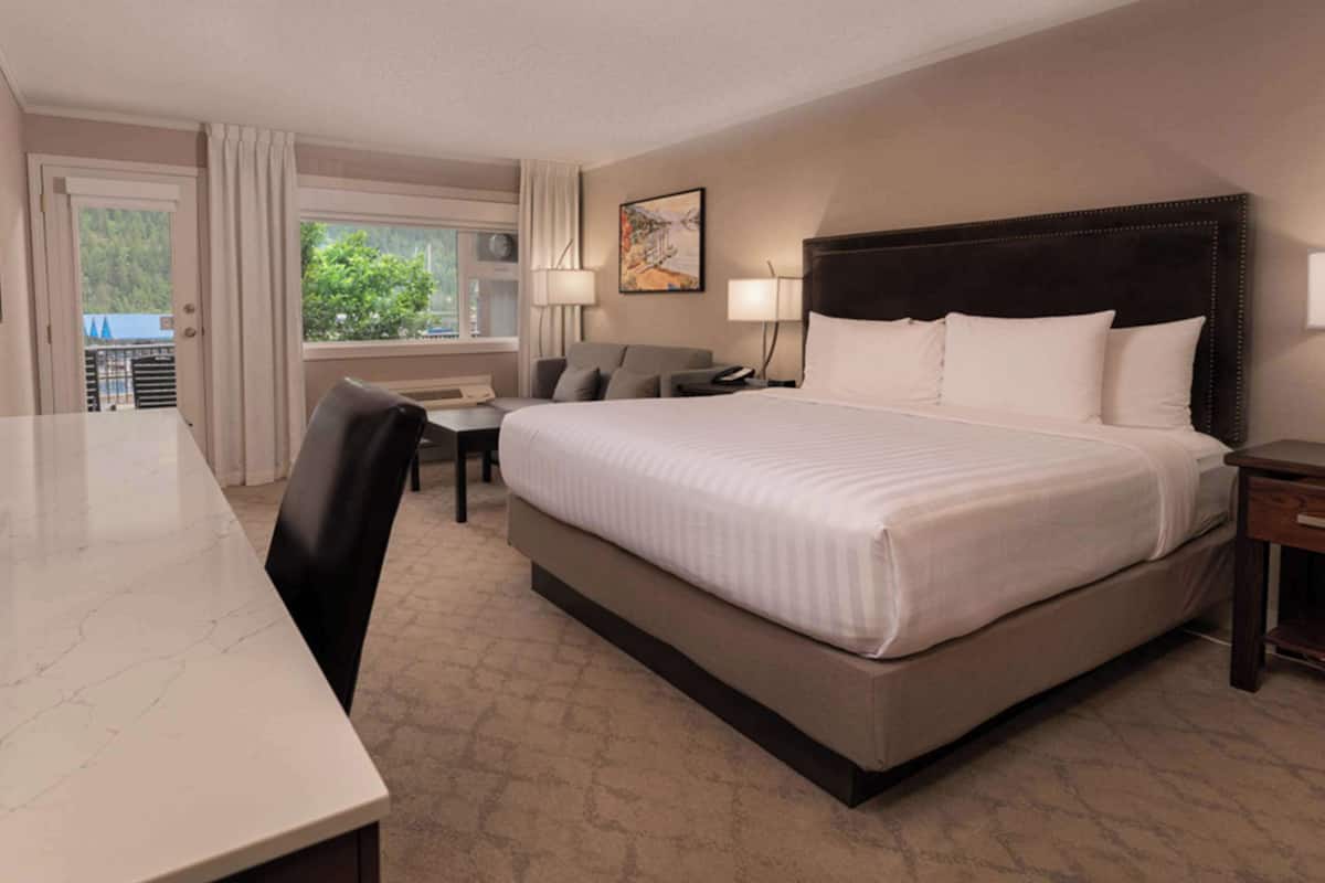 Standard Room, 1 King Bed, Accessible, Patio (with Sofabed)