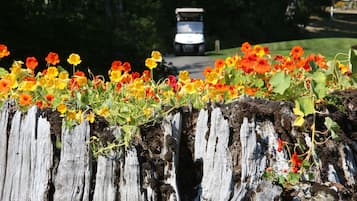 Una cerca de madera con flores coloridas en primer plano y un carrito de golf al fondo.