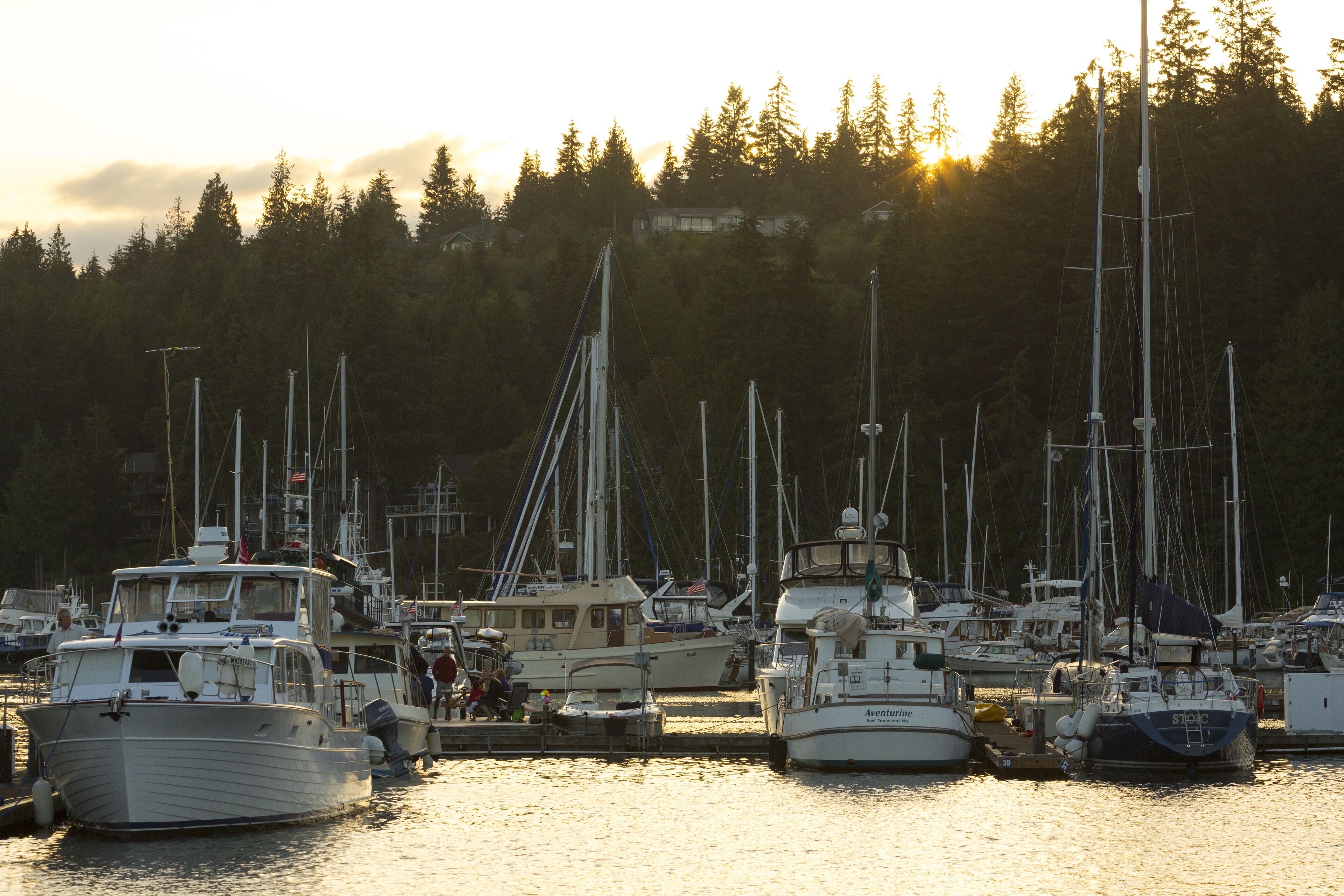 A marina with multiple boats docked, surrounded by a forested hillside.