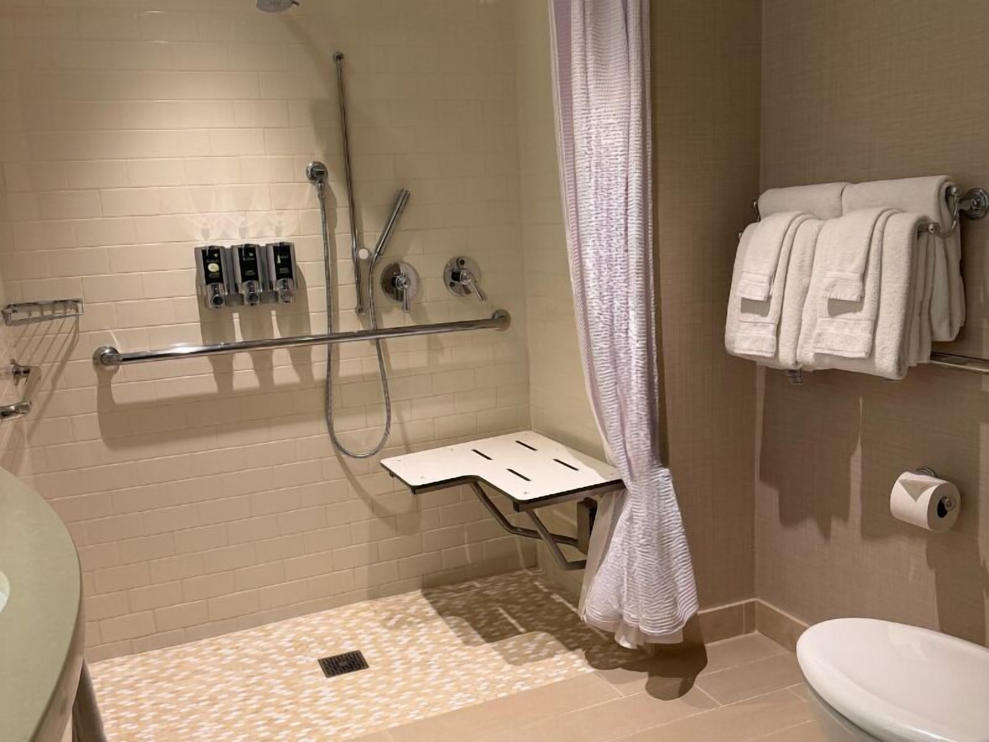 A bathroom with a shower, toilet, and towel rack.